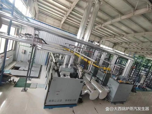 燃?xì)庹羝l(fā)生器設(shè)備5月份最新價格